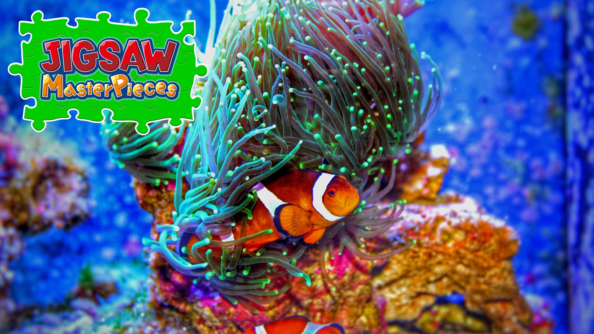 Copertina di Colorful Fish