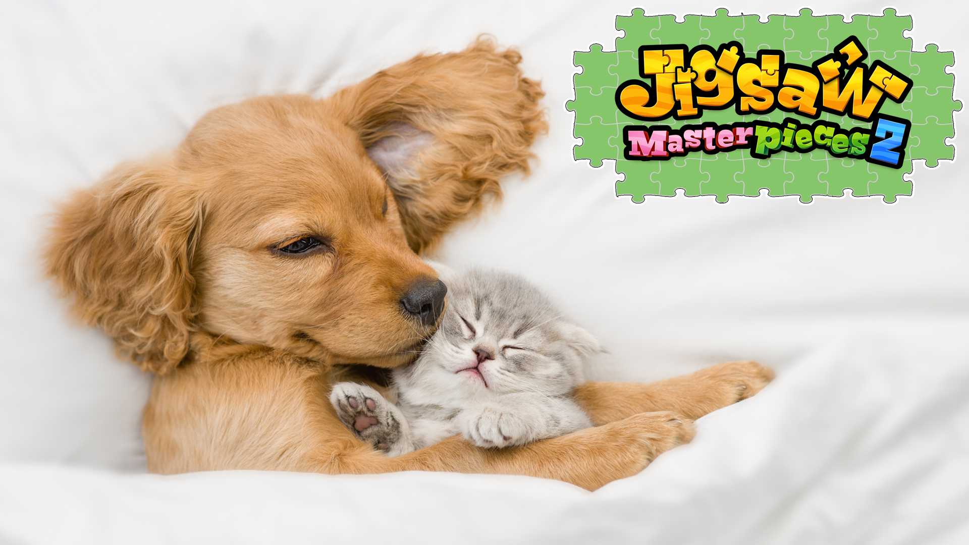 Copertina di The Magical Bond Between Animals