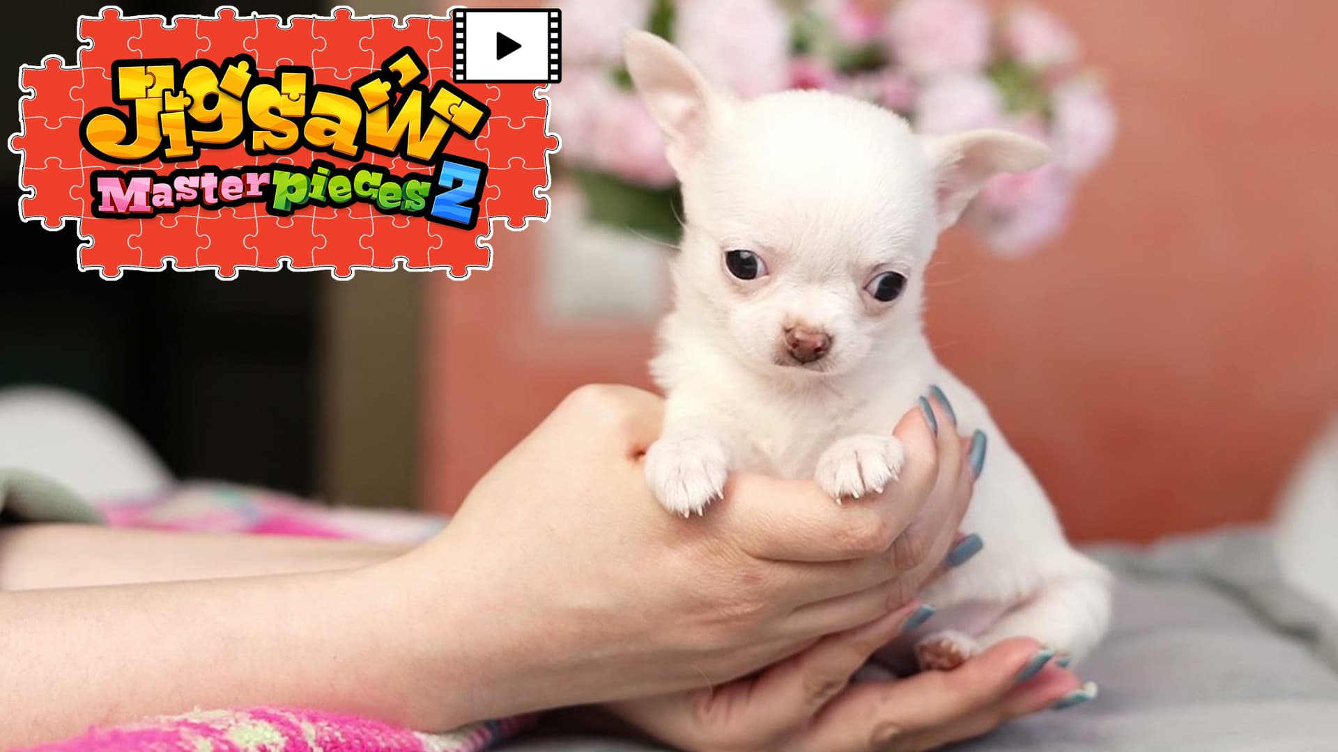 Copertina di [Moving] Fluffy Puppies