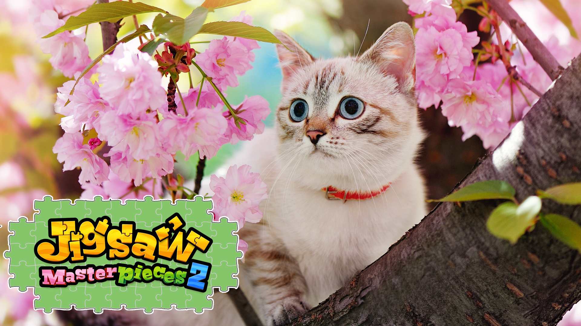 Copertina di Cats with Flowers