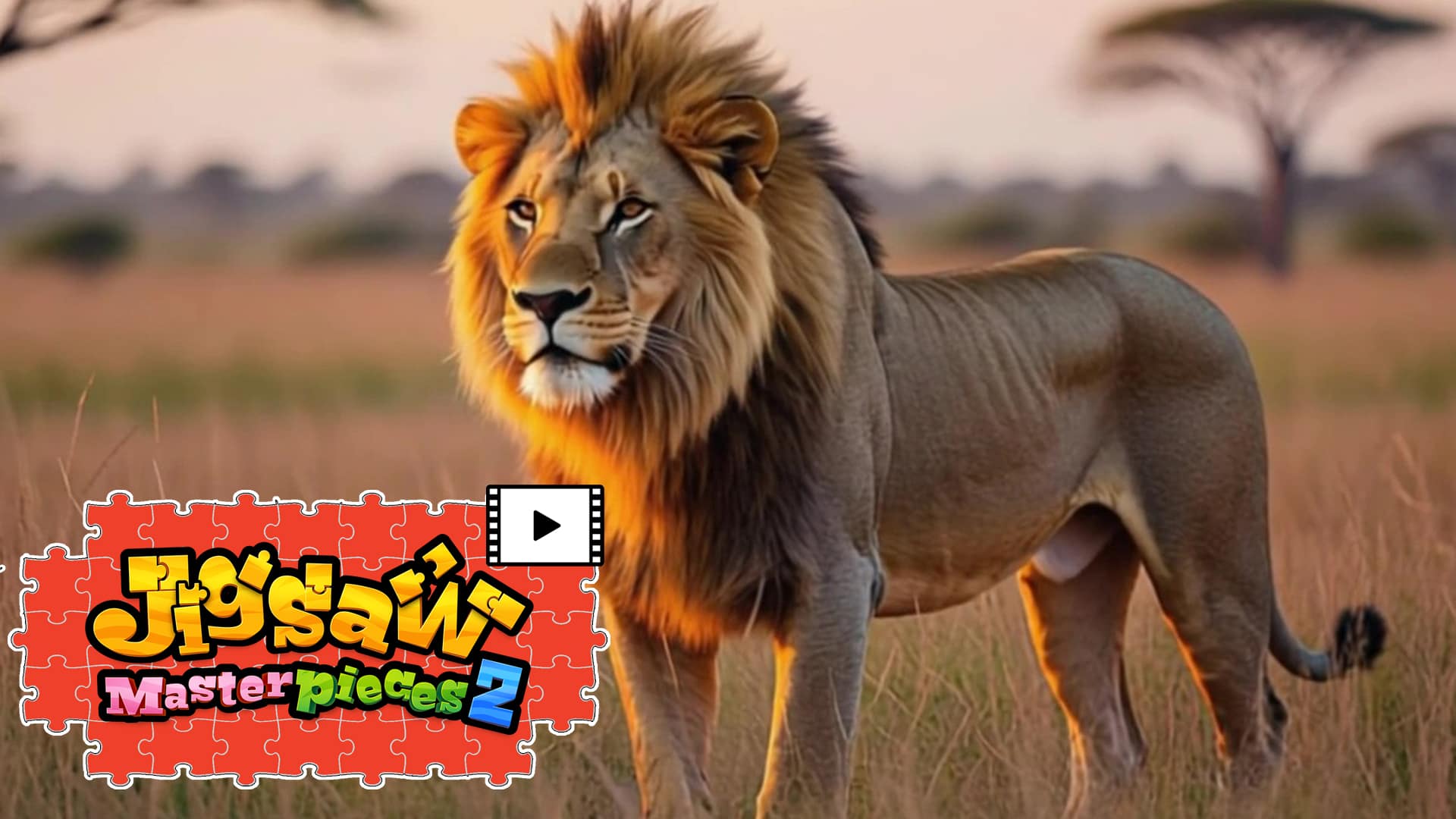 Copertina di [Moving] Wild Animals