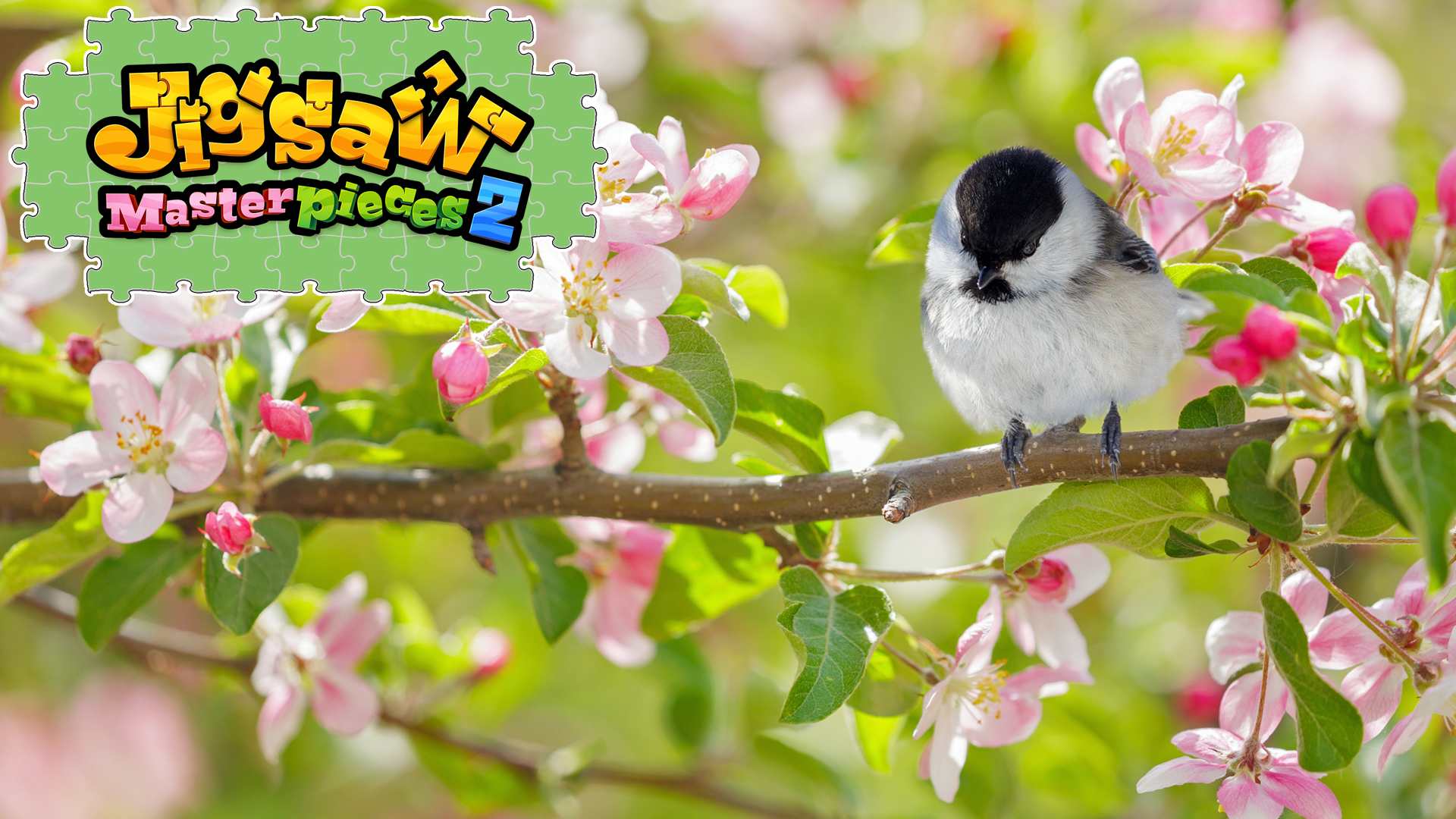 Copertina di Little Songbirds