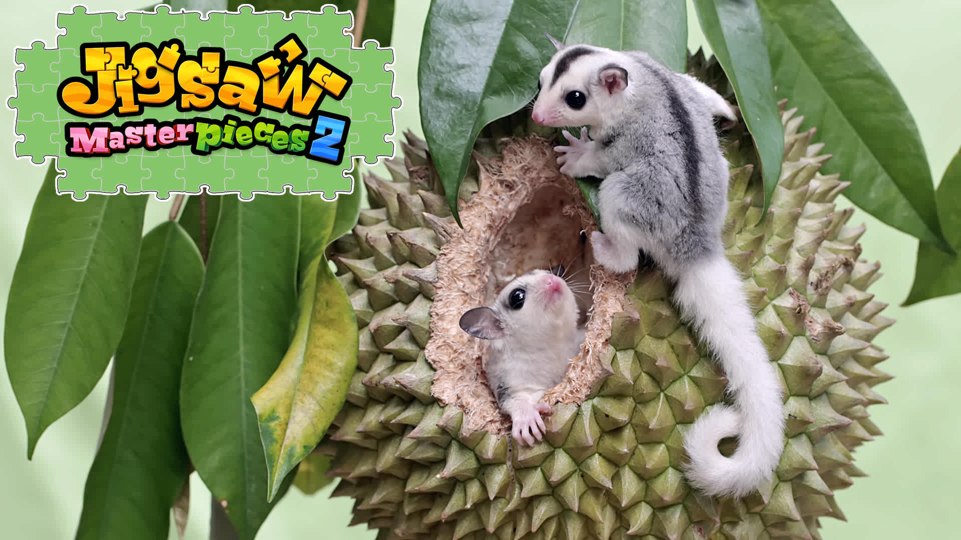 Copertina di Cuddly Little Animals