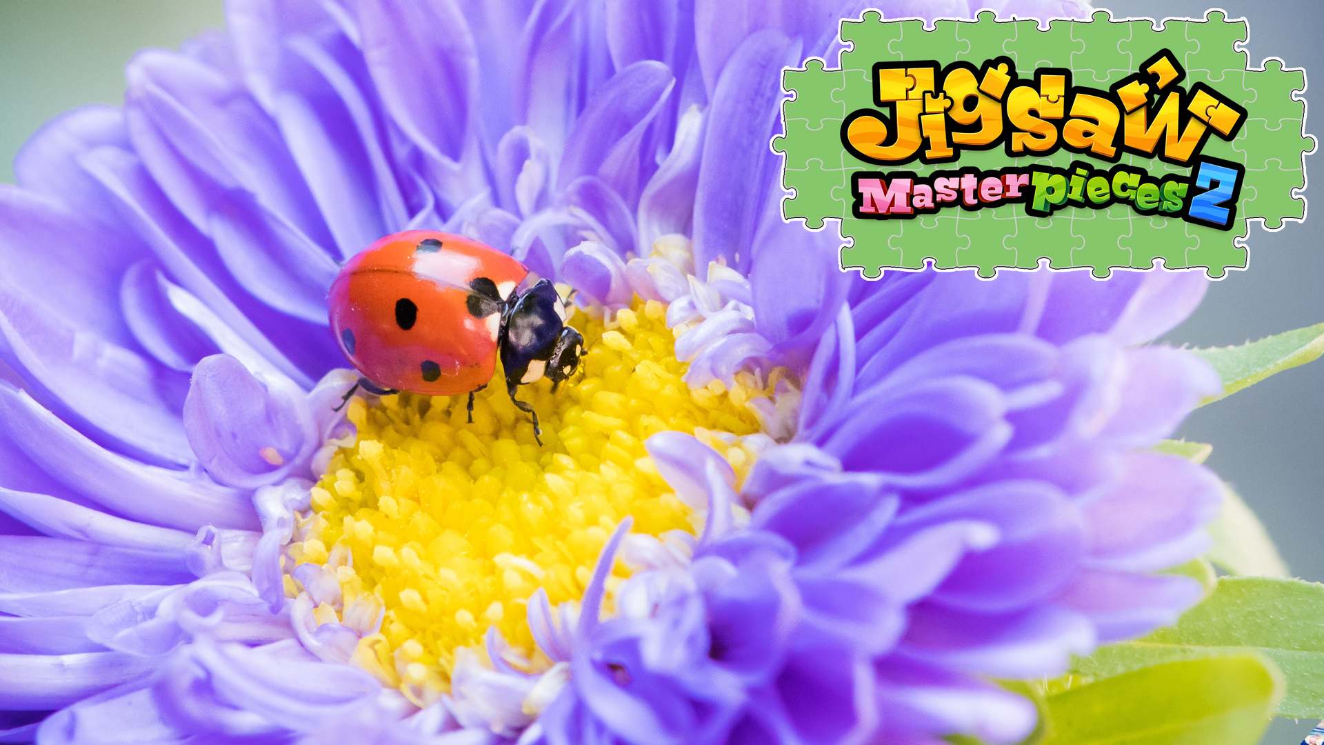 Flowers and Little Friends for Nintendo Switch - Nintendo Official