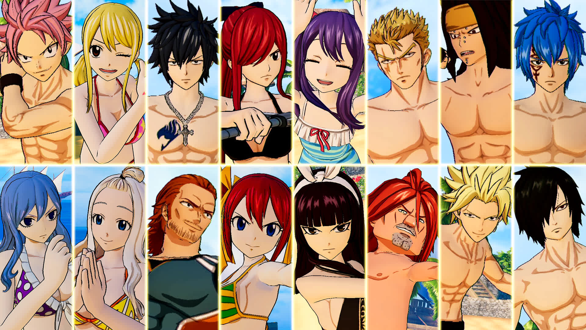 Copertina di Special Swimsuit Costume Set for 16 Playable Characters