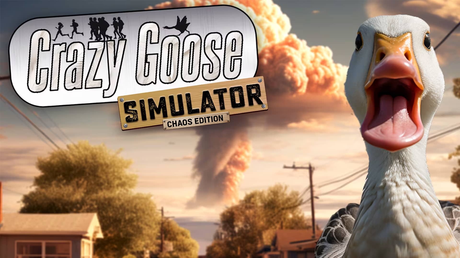 Copertina di Crazy Goose Simulator: Chaos Edition