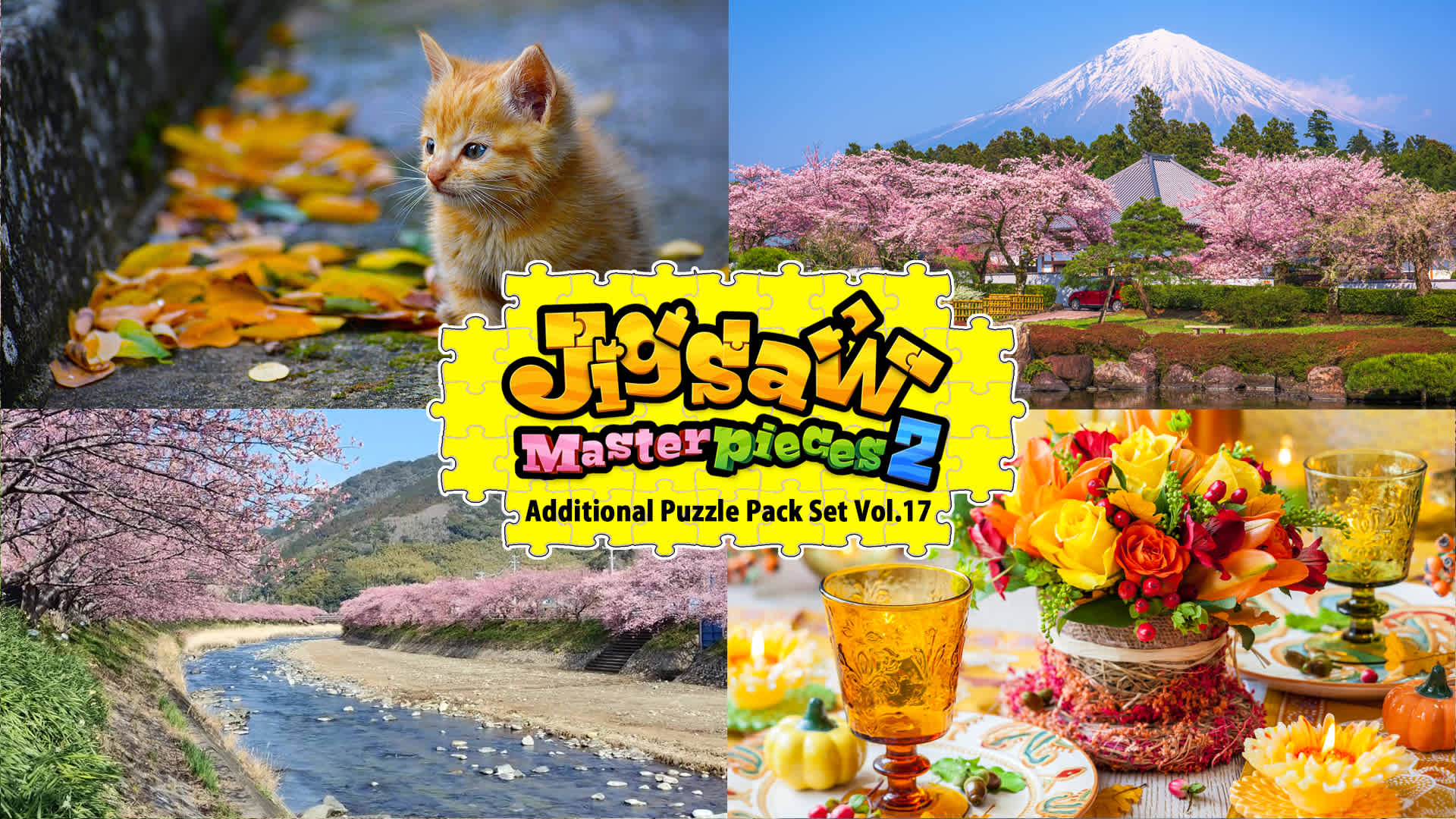 Additional Puzzle Pack Set Vol.17 for Nintendo Switch - Nintendo