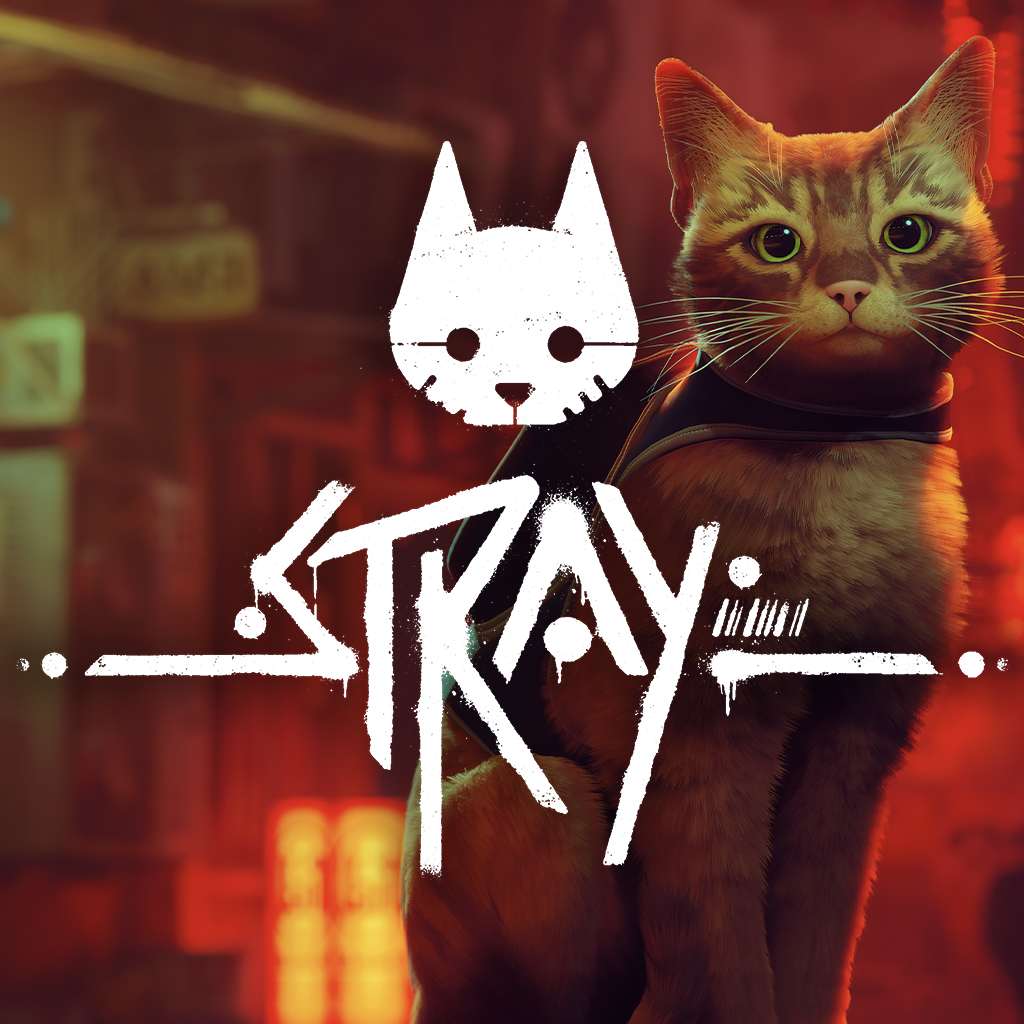 Stray