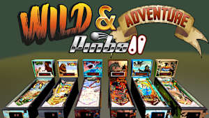 Wild & Adventure Pinball cover image