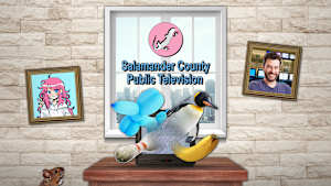 Salamander County Public Television cover image