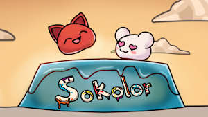 Sokolor cover image