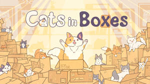 Cats in Boxes cover image