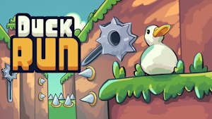 Duck Run cover image