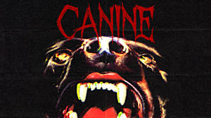 Canine cover image