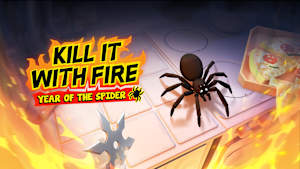 Year of the Spider cover image