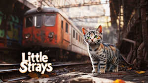 New hideouts cover image