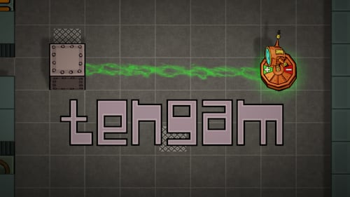 Tengam cover image
