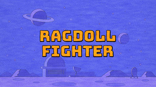 Ragdoll Fighter cover image