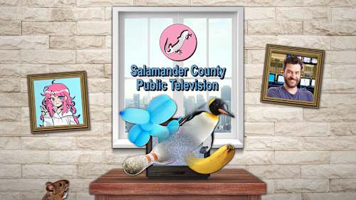 Salamander County Public Television cover image