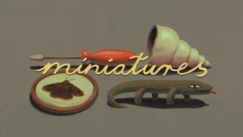 Miniatures cover image