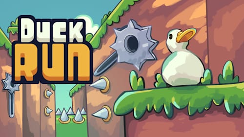 Duck Run cover image