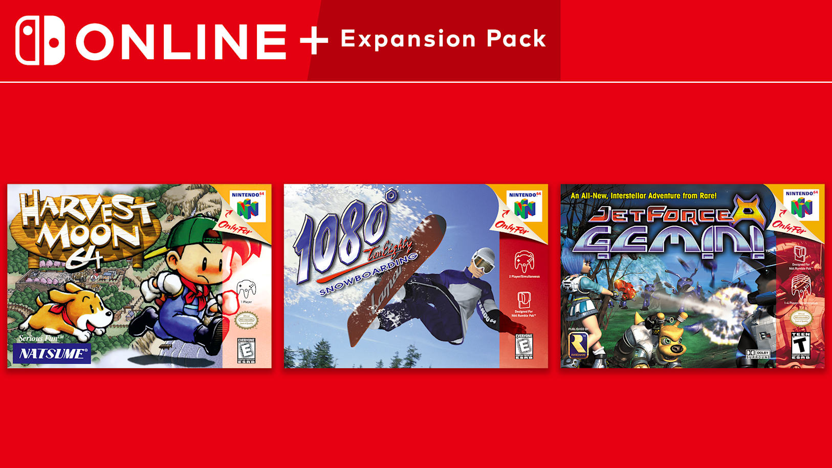 ニンテンドーゲームパック game nintendo pack