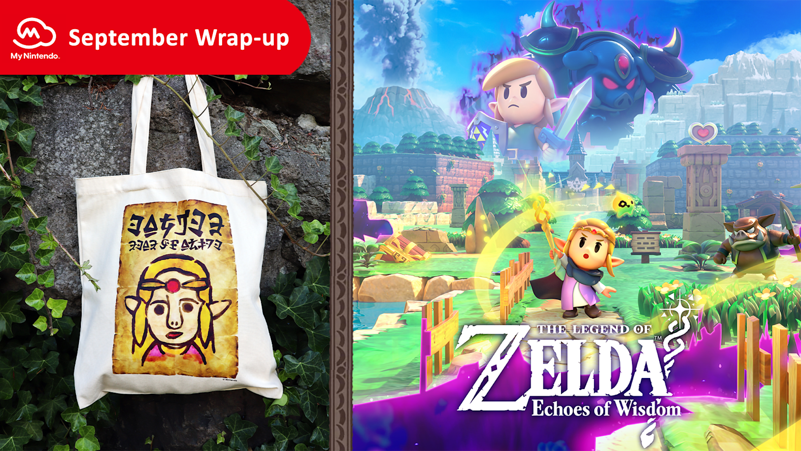 WN-Banner-Sept2024-wrapup_V2