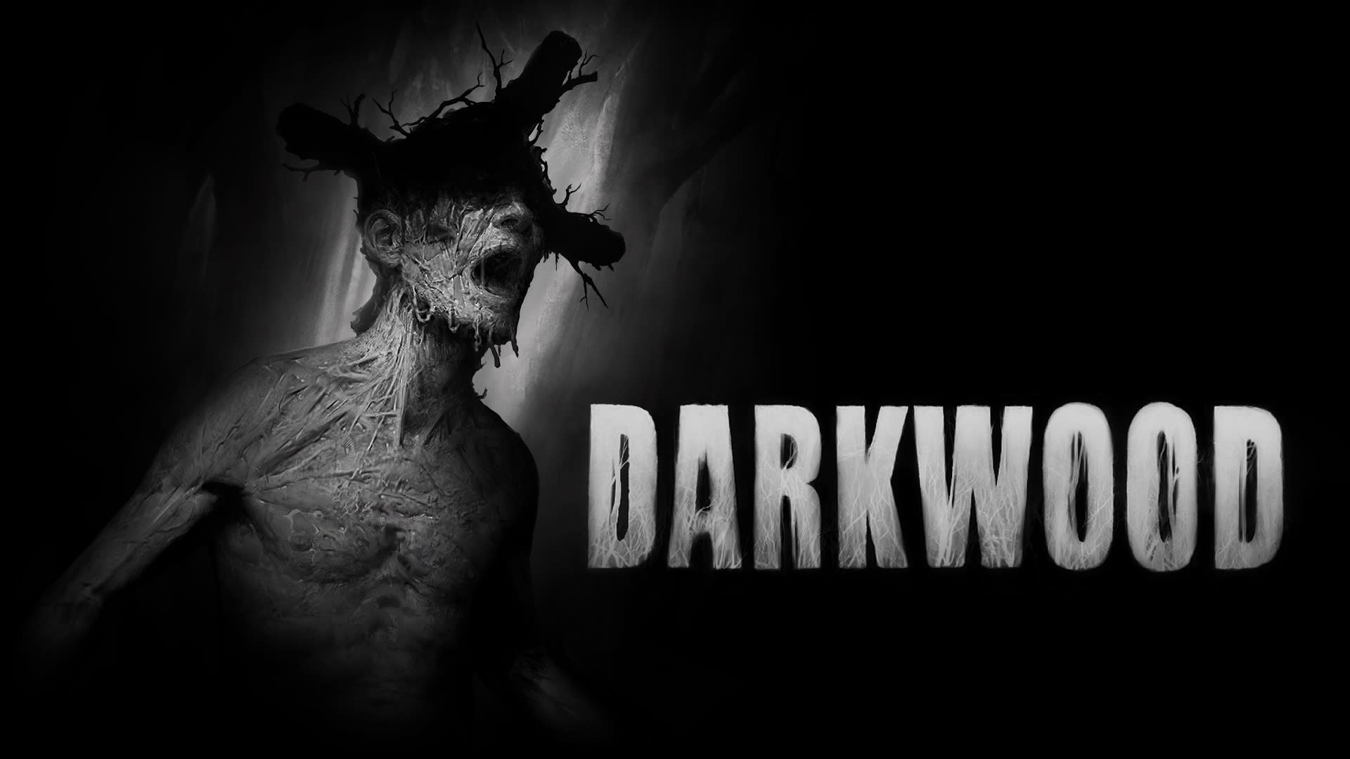 DARKWOOD SRG Switch Nintendo 新品未開封