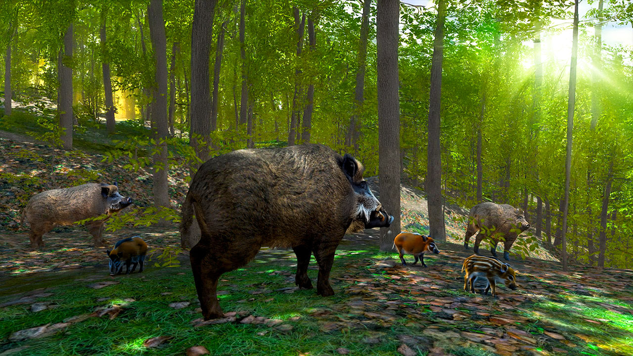 Nintendo Switch the hunter call of  the wild the call Nintendo the wild Switch of hunter
