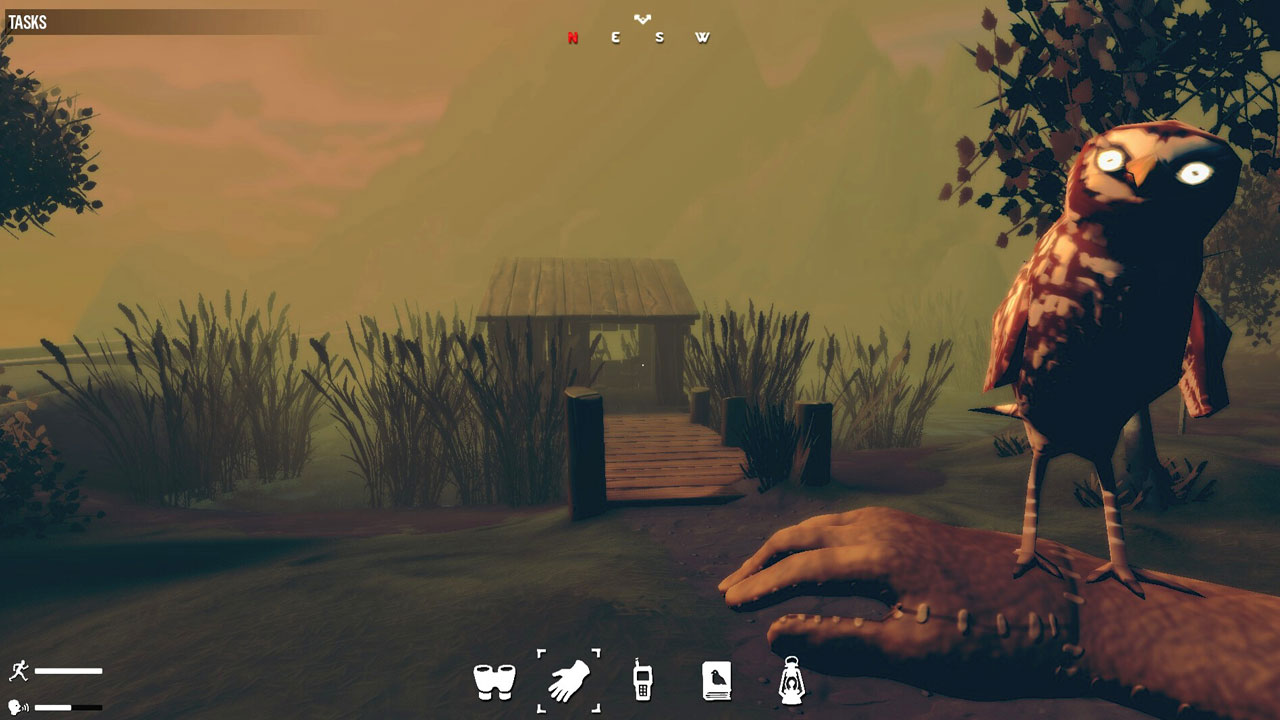 Birds Watching  screenshot