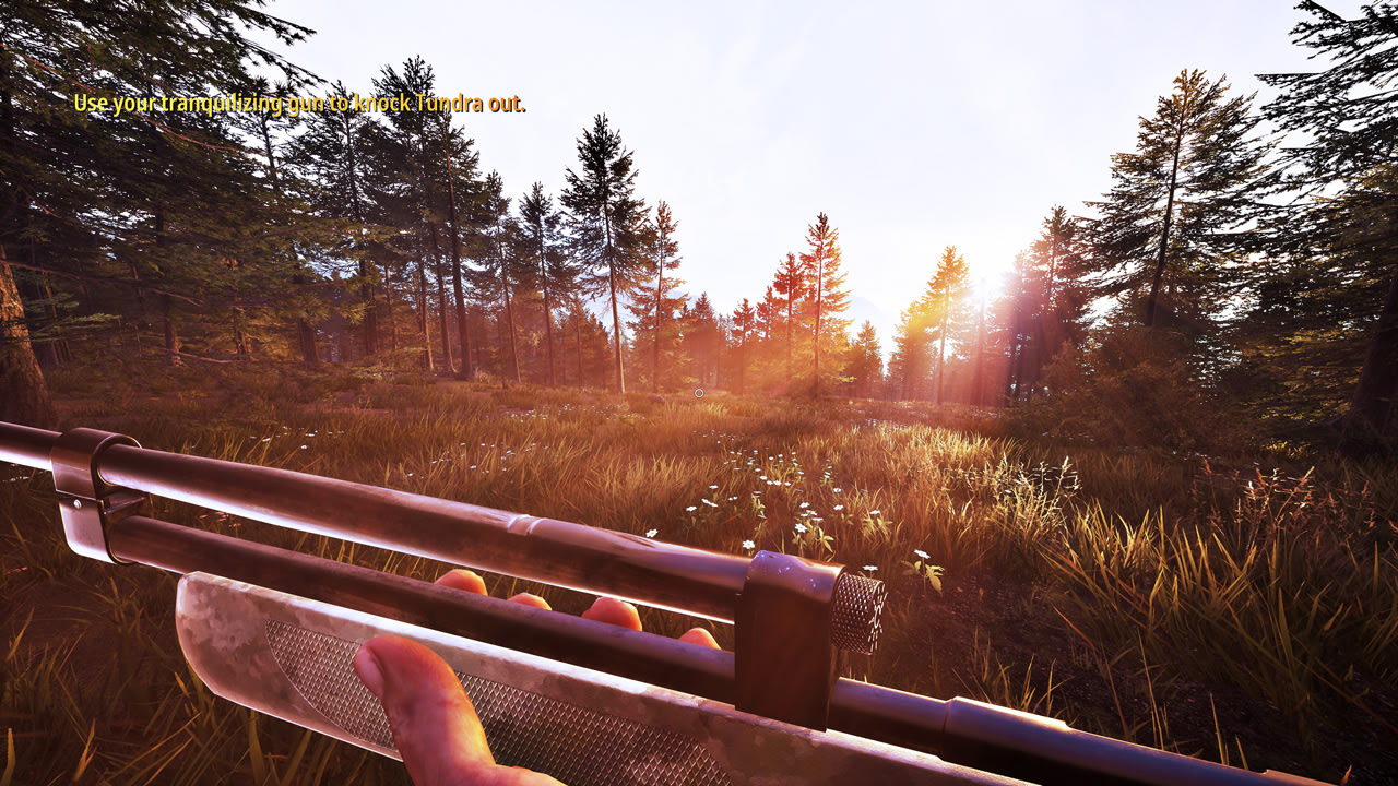 Hunting Simulator 2: A Ranger's Life for Nintendo Switch