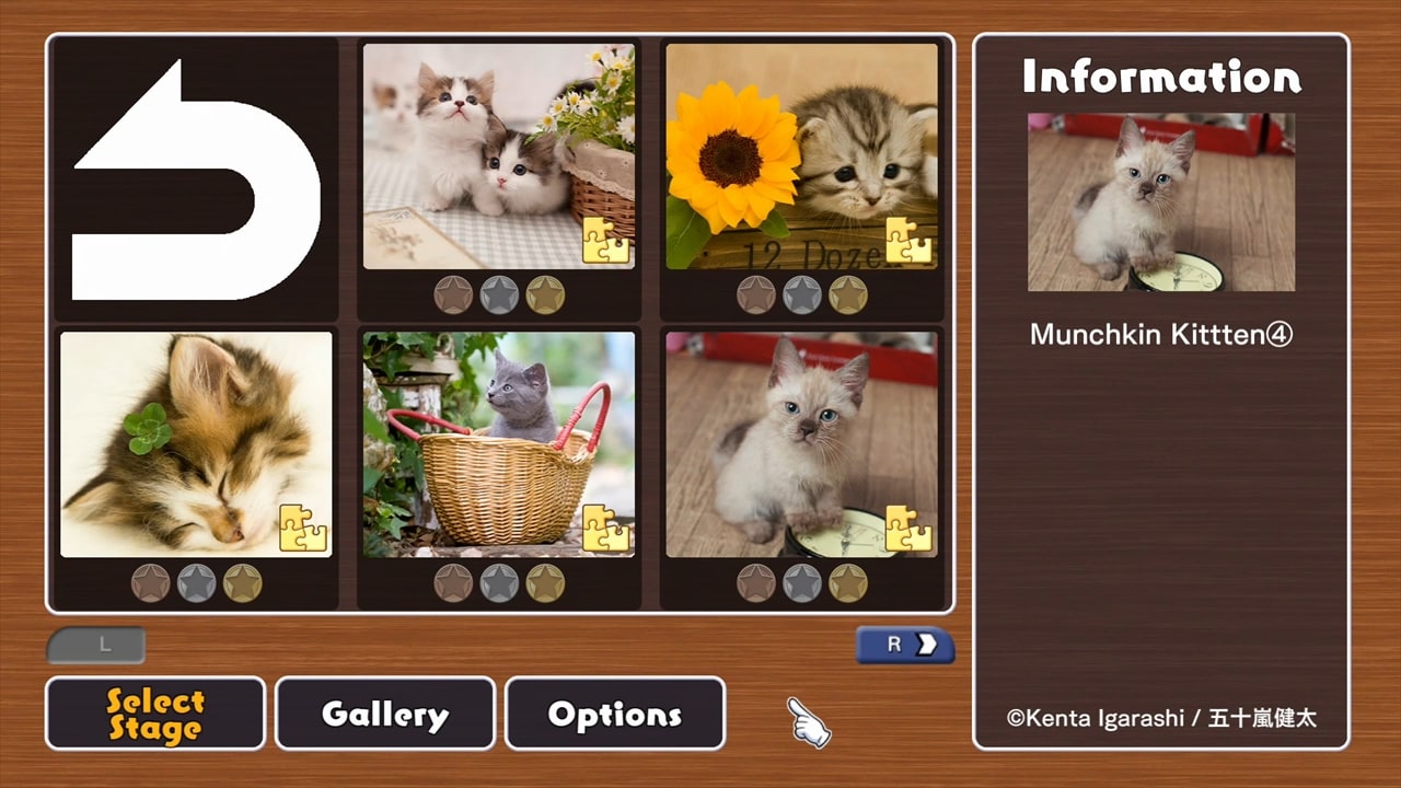 Little Kittens / Kenta Igarashi for Nintendo Switch - Nintendo