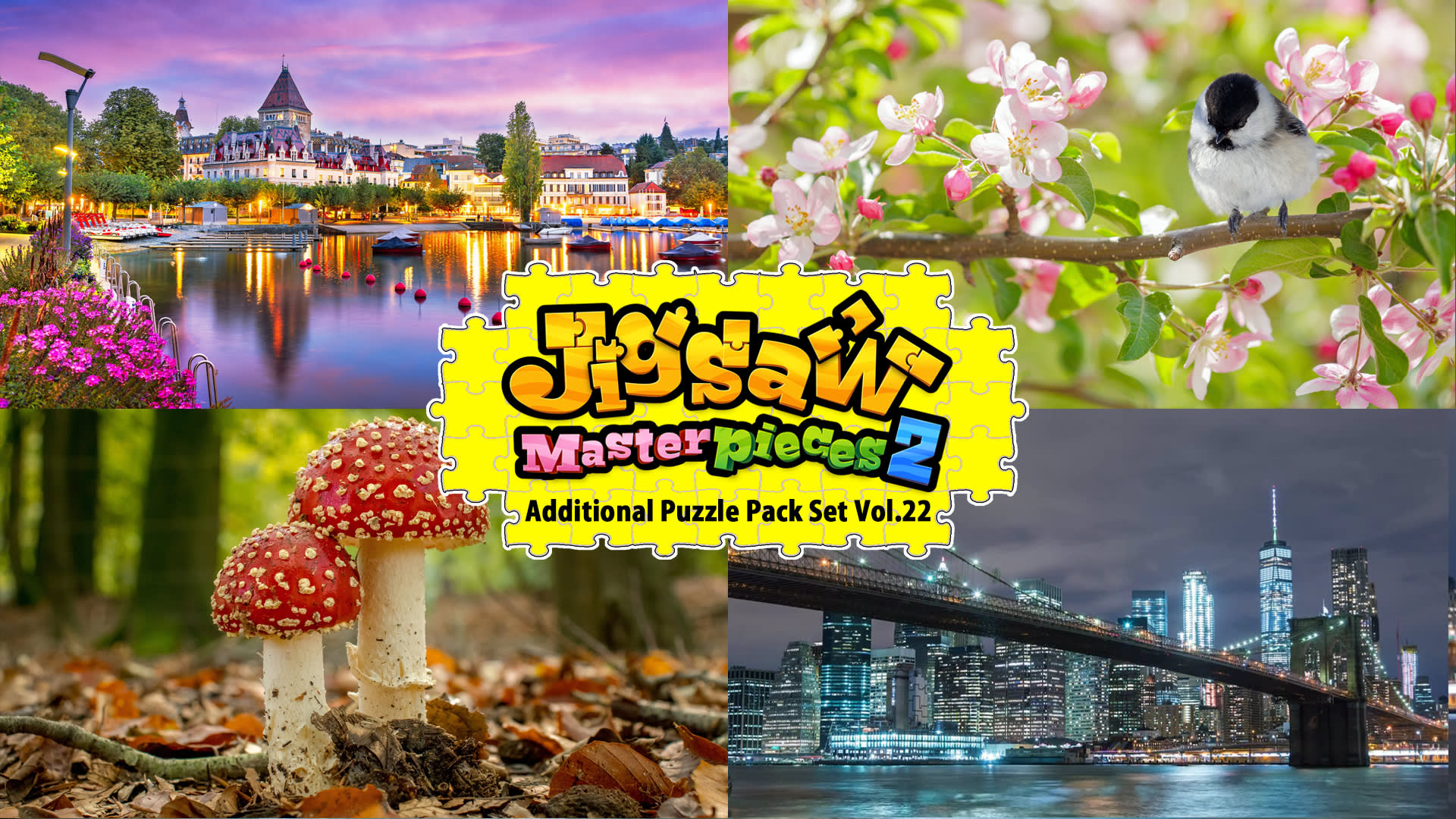 Additional Puzzle Pack Set Vol.22 for Nintendo Switch - Nintendo