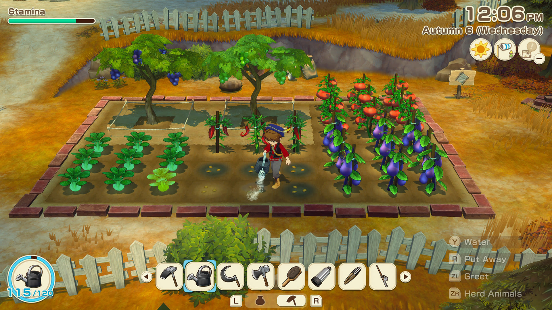 STORY OF SEASONS: Grand Bazaar – Nintendo Switch™ 2 Edition for