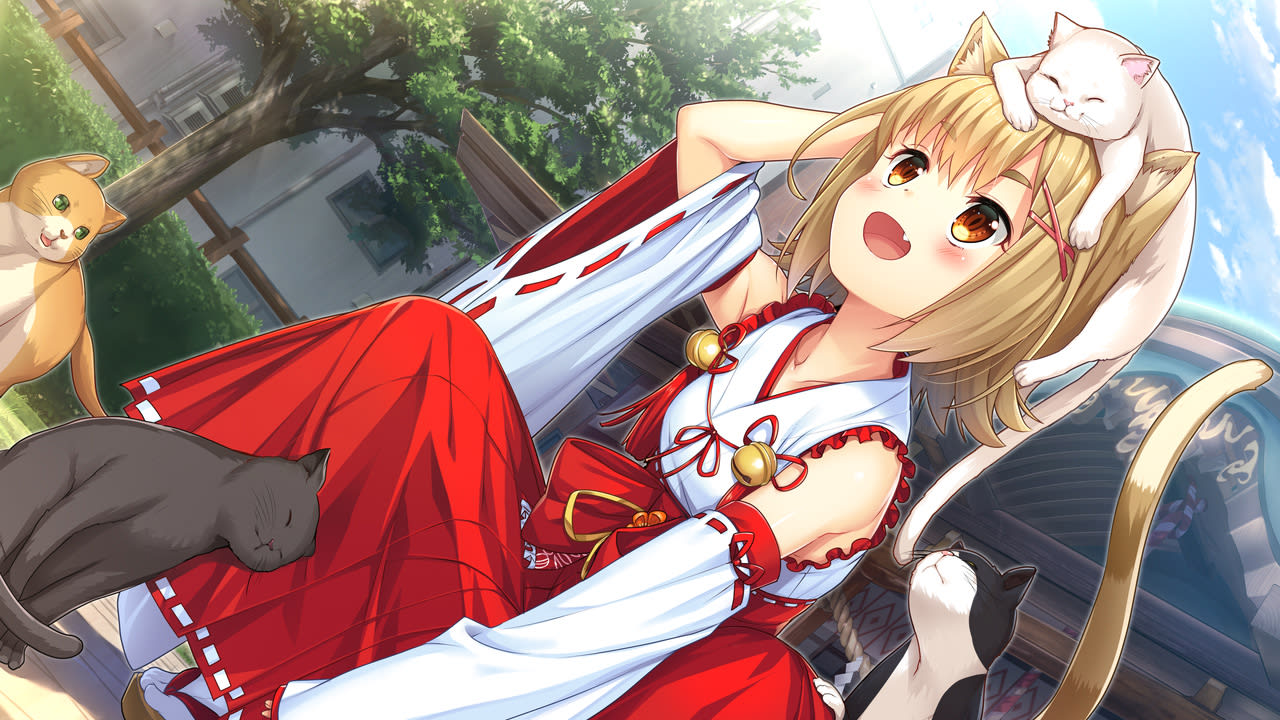 猫巫女 媒体 2
