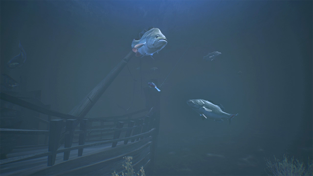 鲈鱼大师赛2022：豪华版 媒体 7