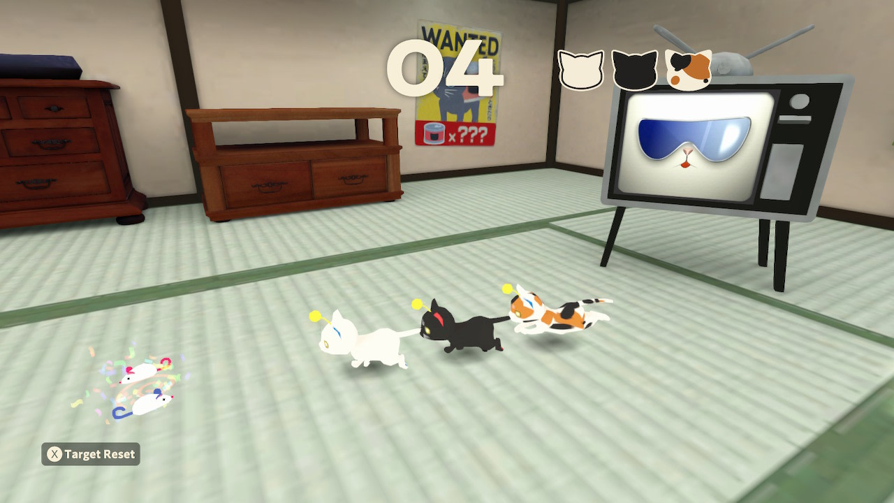 猫咪 媒体 5