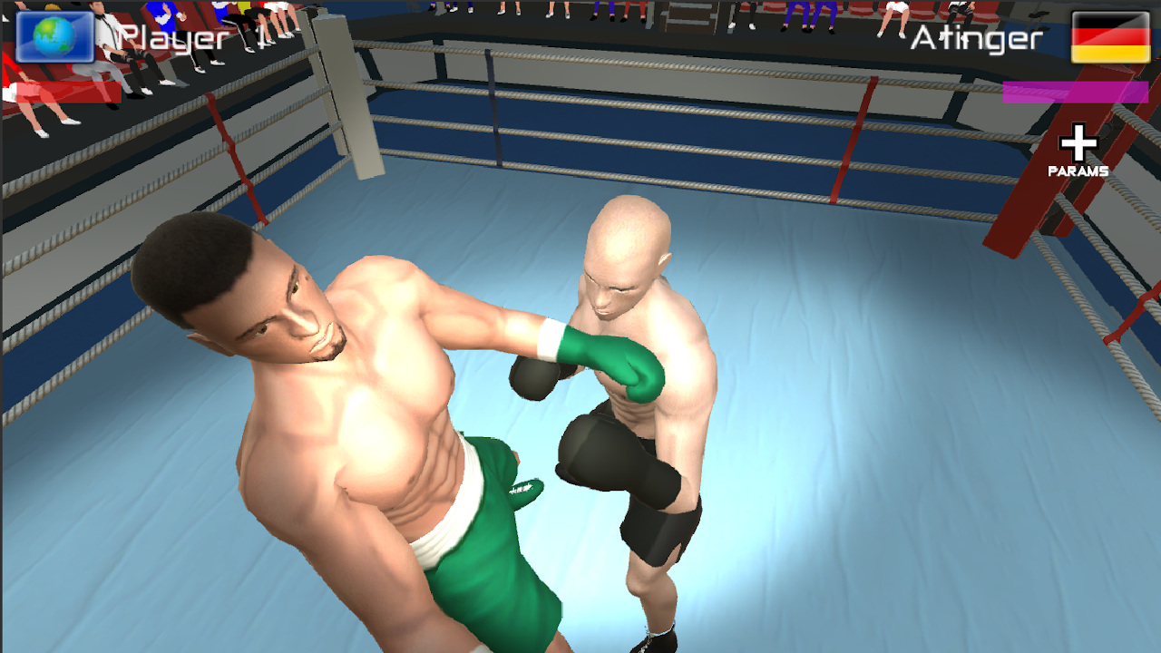 International Boxing screenshot screenshot 3
