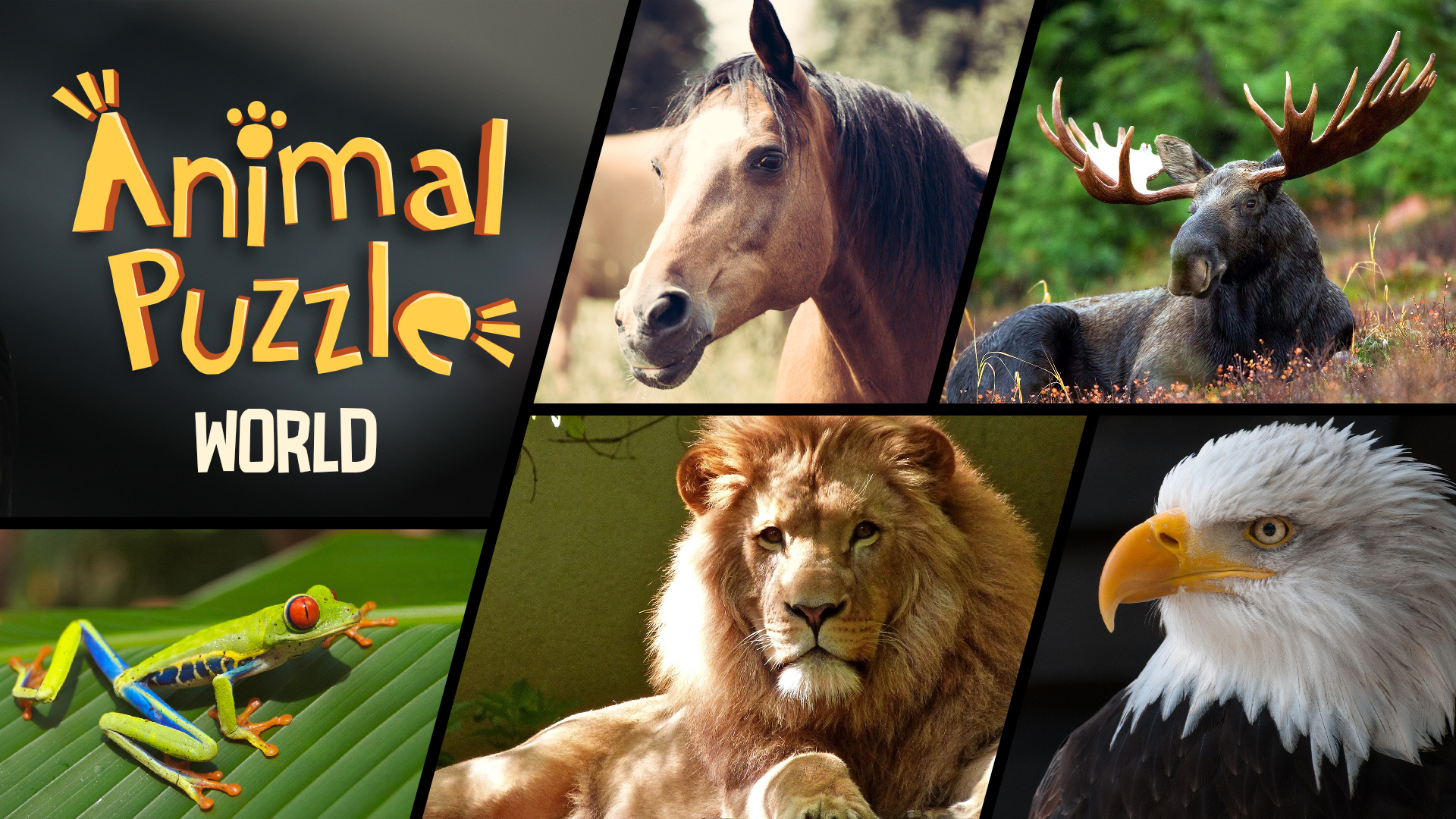 animal puzzle world vertical card thumbnail