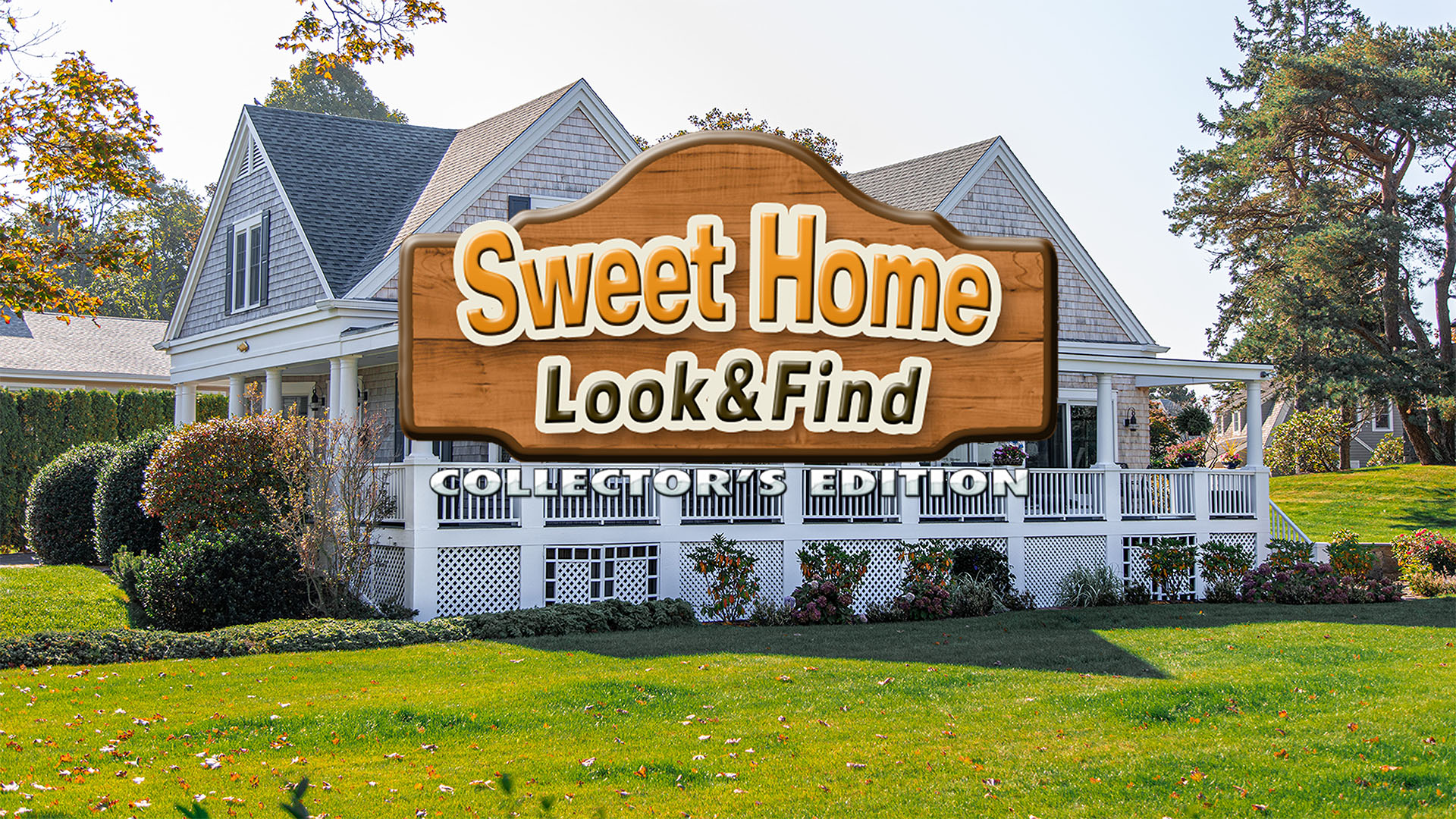 Sweet Home: Look and Find Collector's