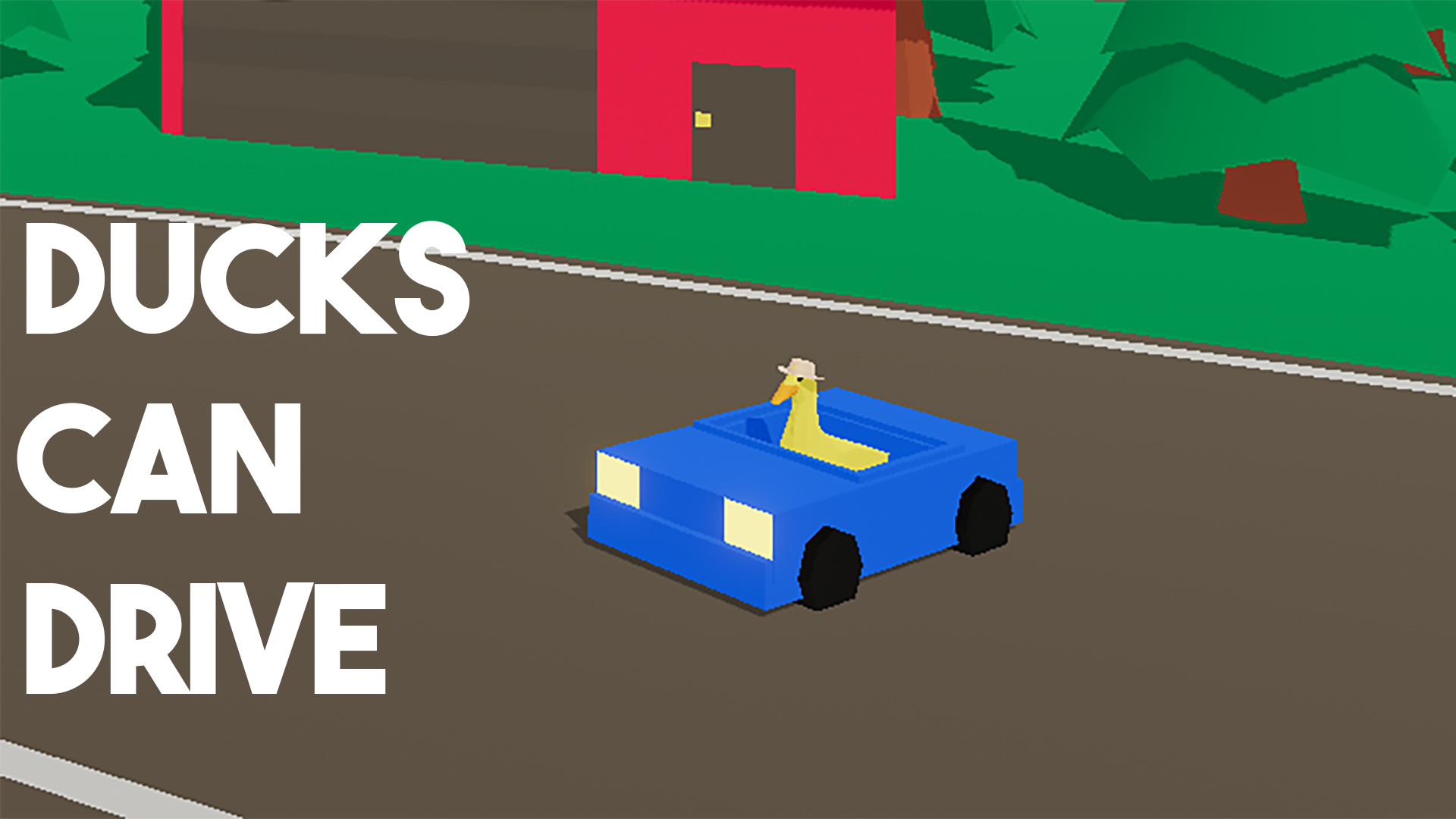 Ducks Can Drive