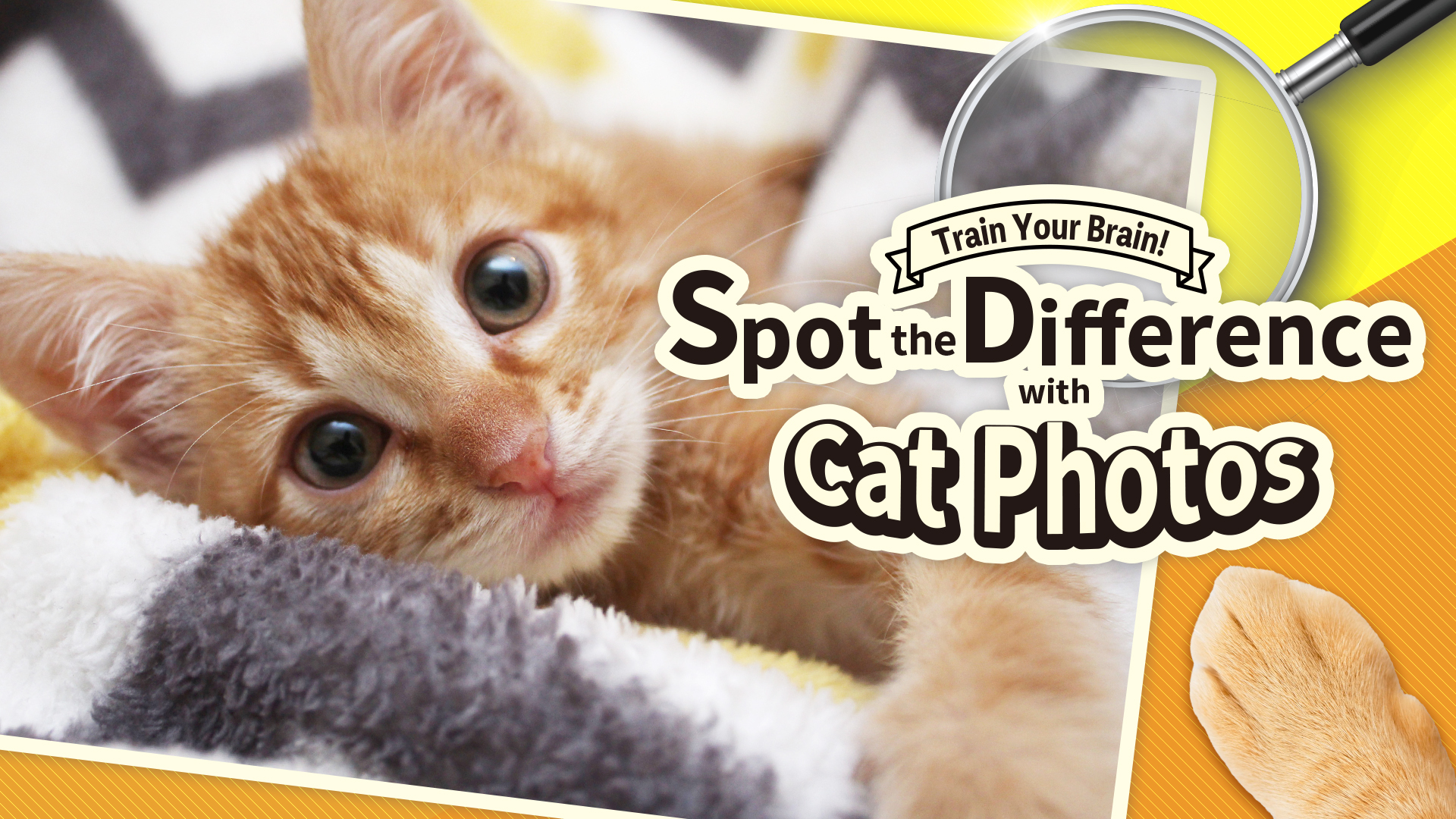 train your brain! spot the difference with cat photos vertical card thumbnail
