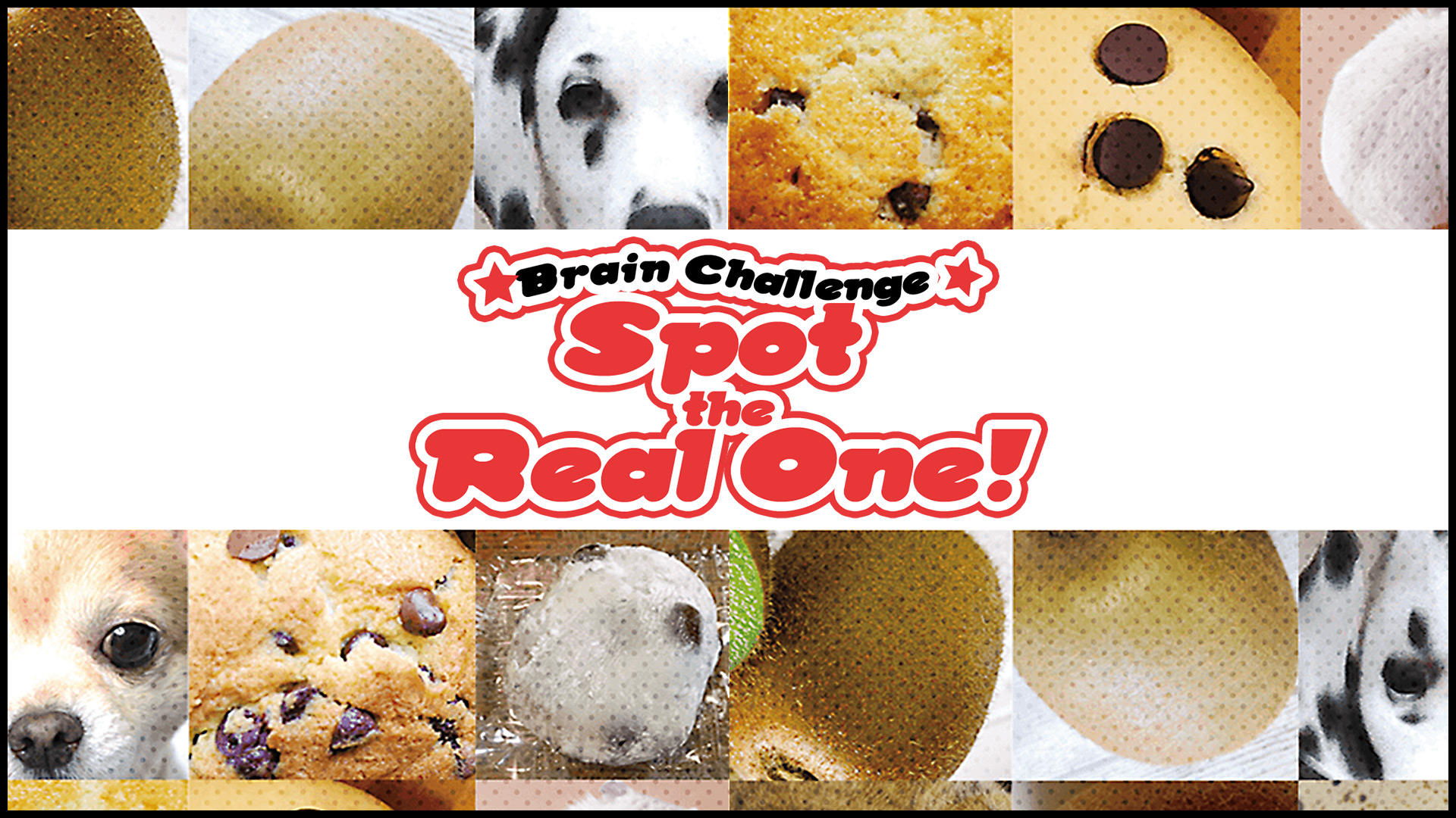Brain Challenge Spot the Real One!