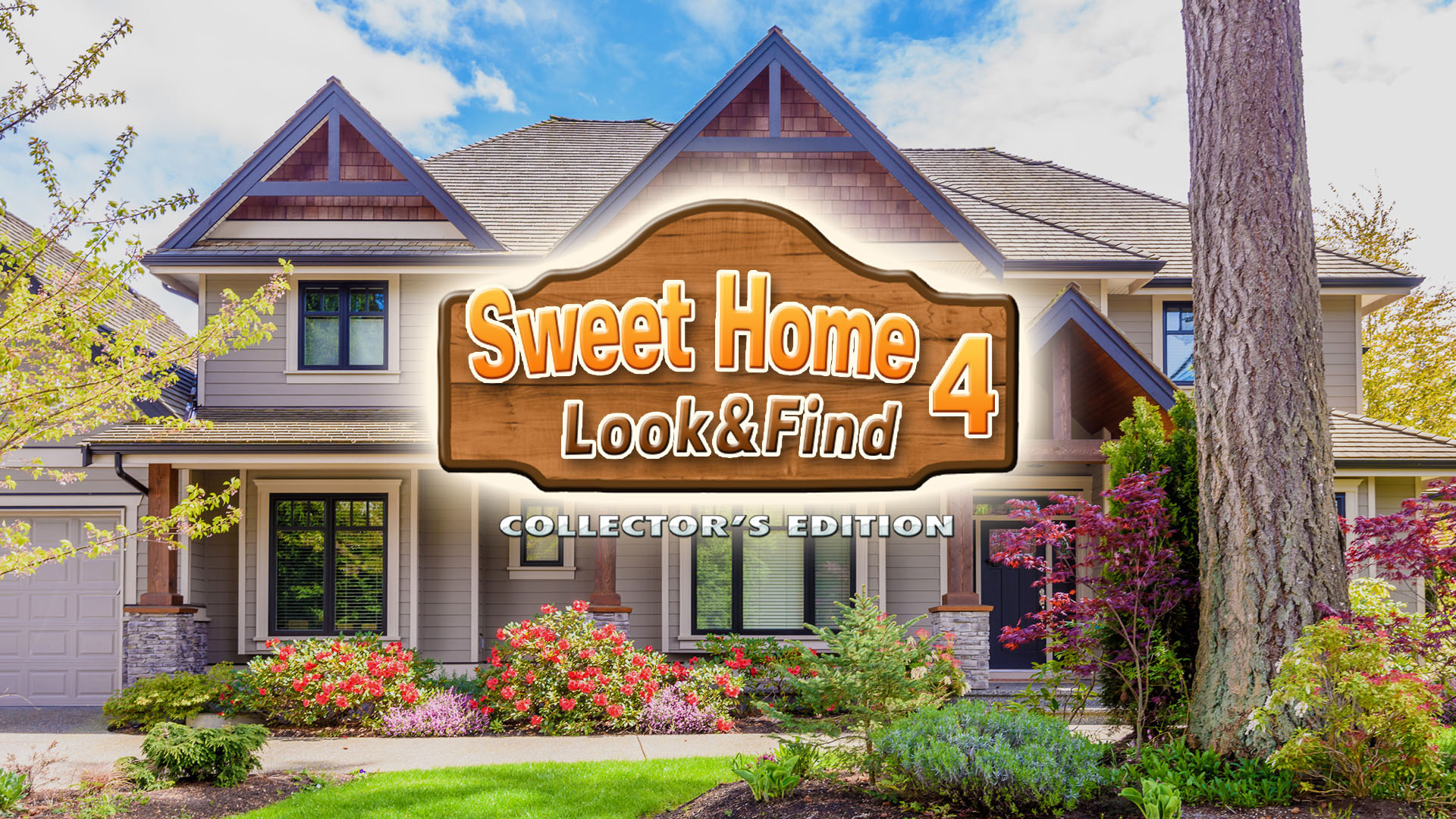 Sweet Home: Look and Find 4 Collector's