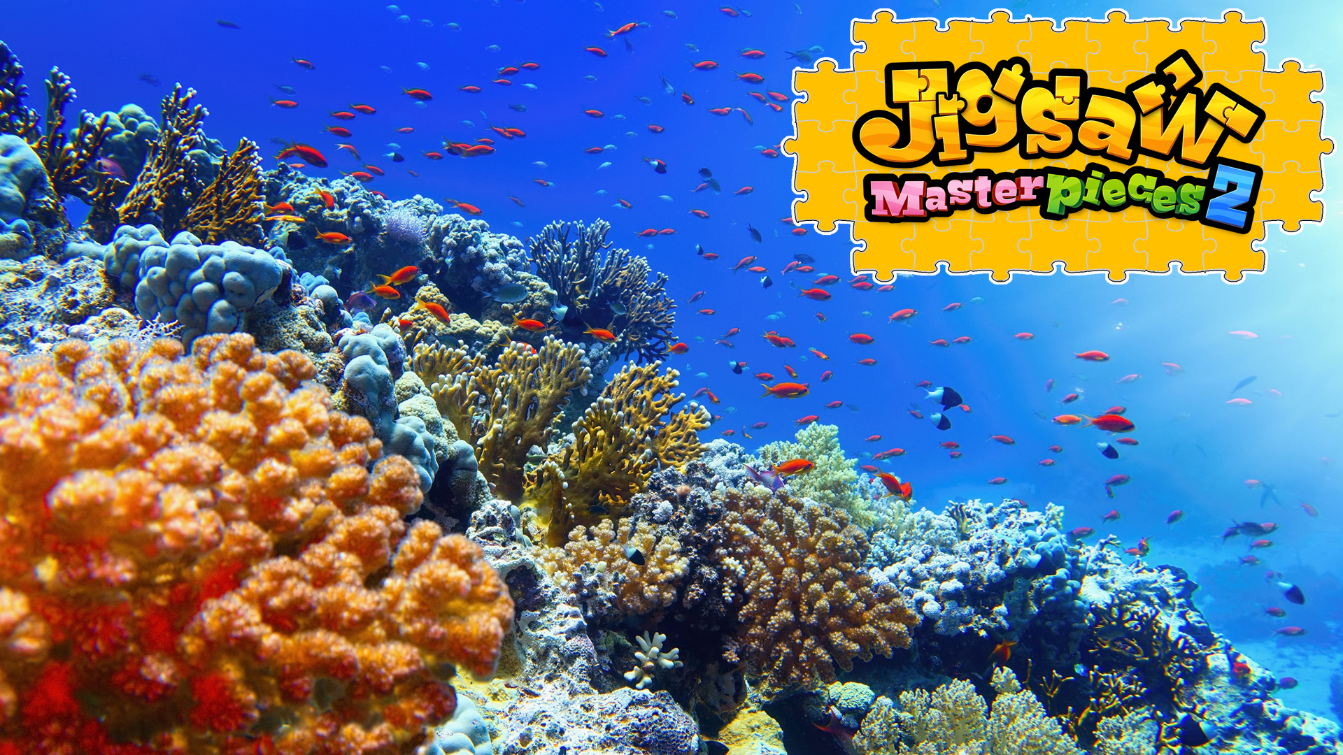 Enchanting Underwater World