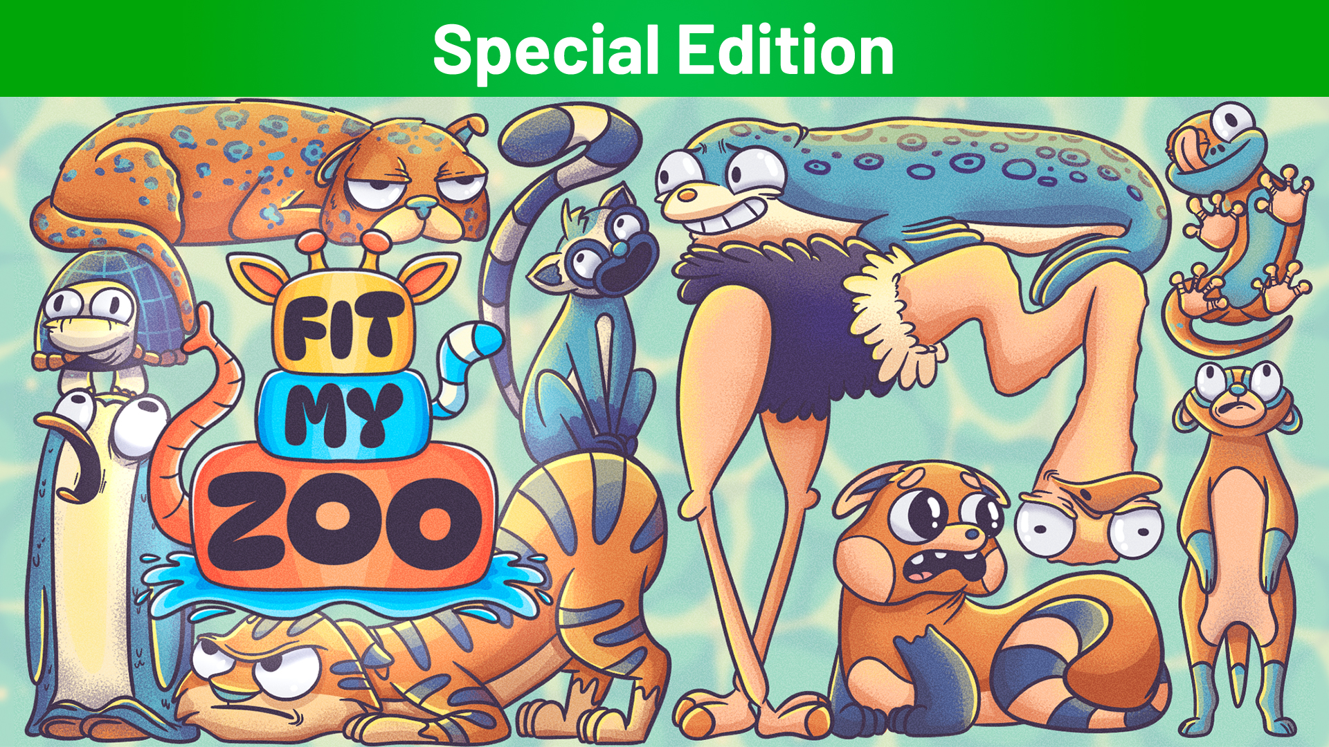 Fit My Zoo Special