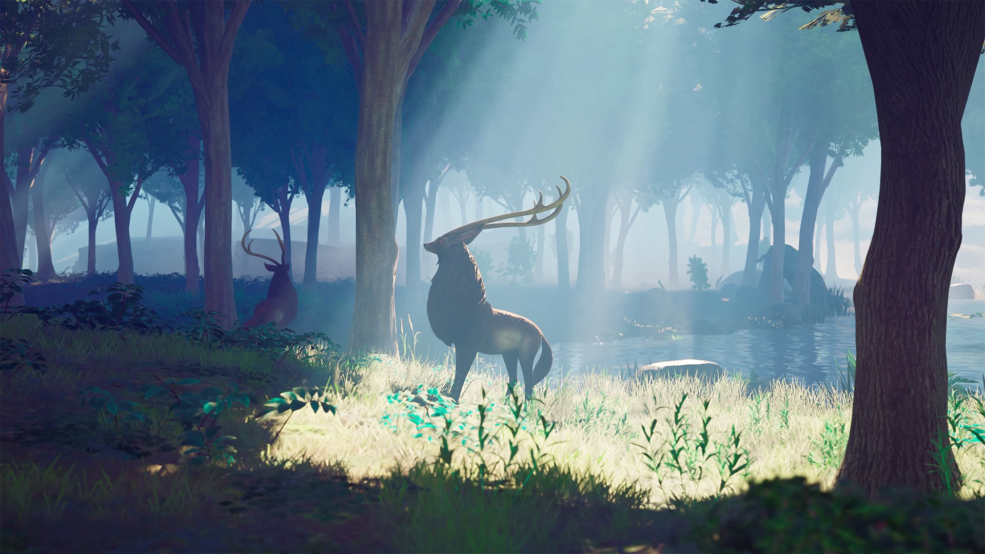 screenshot5