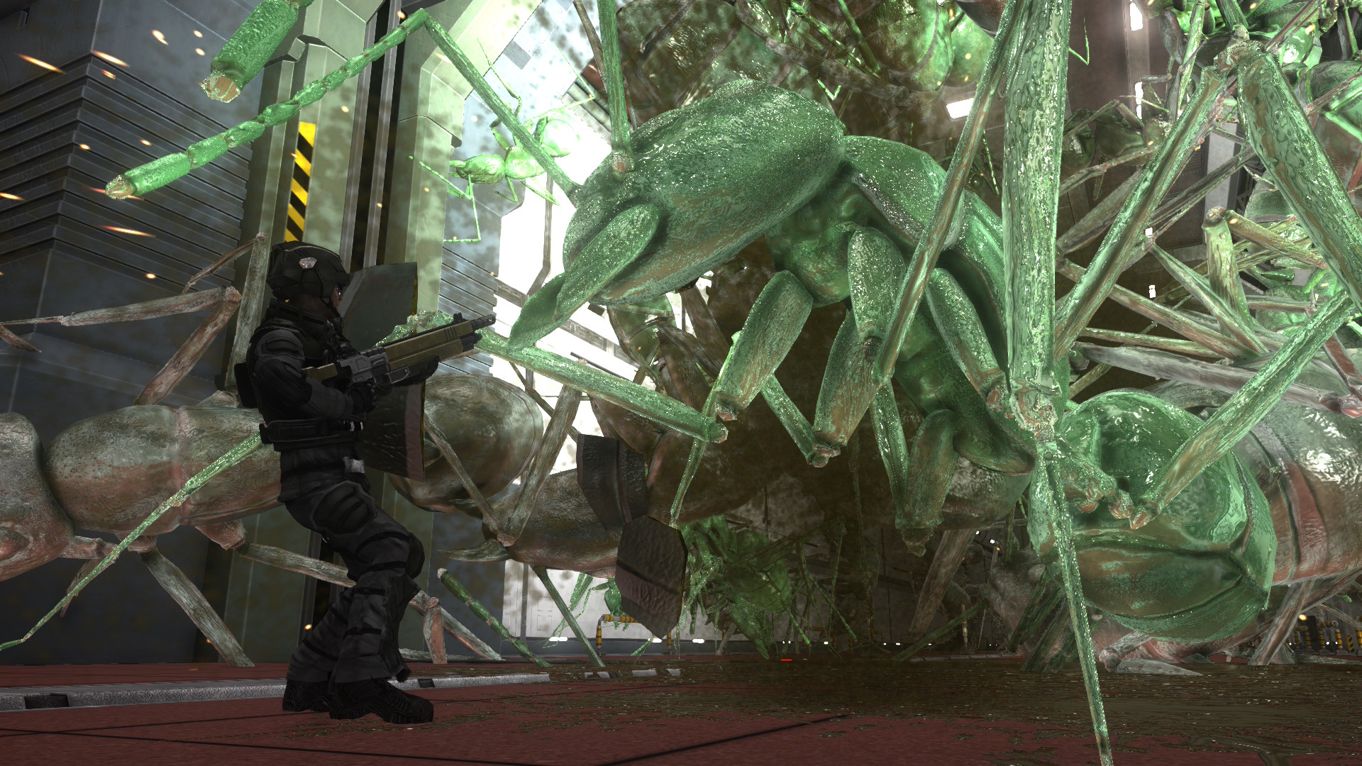 screenshot5