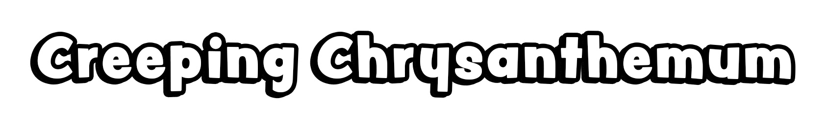 Creeping Chrysanthemum