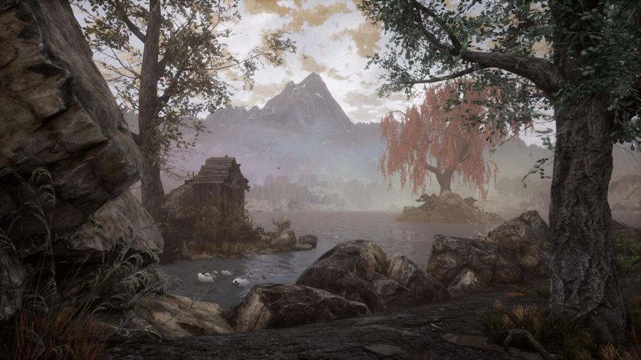Full Size Image